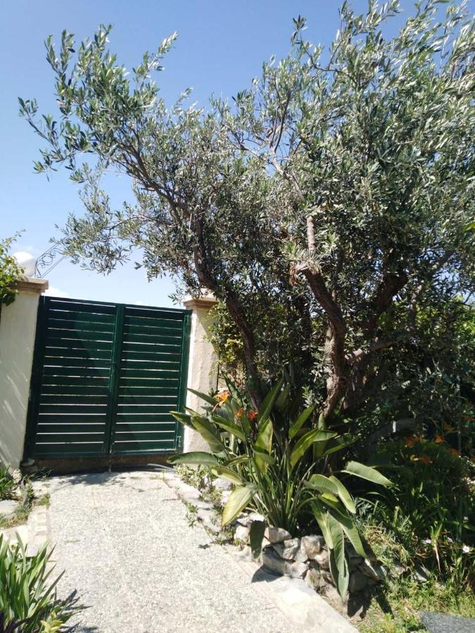 Villa Arhontiko Kastelorizia Afantou Exterior foto